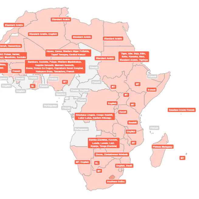 Unveiling the global determinants and effects of bilingual education policies in Africa